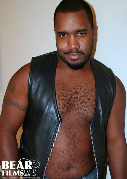 Black Bear Tony Banks Gay Porn - Tony Banks from Bear Films at JustUsBoys - Gallery 14310